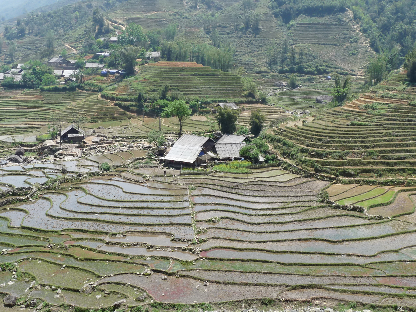 Habitations dans Rizieres, Sapa (Viet Nam)