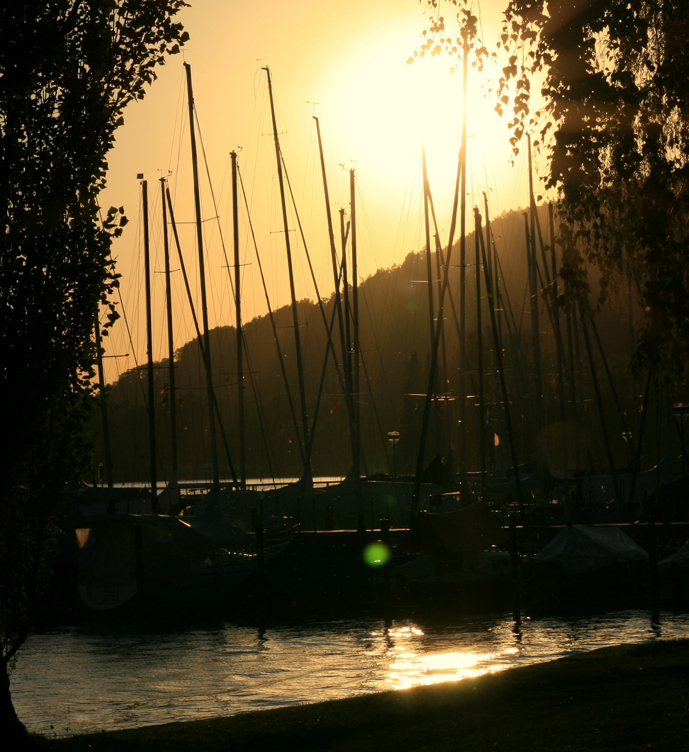 Habour Sunset