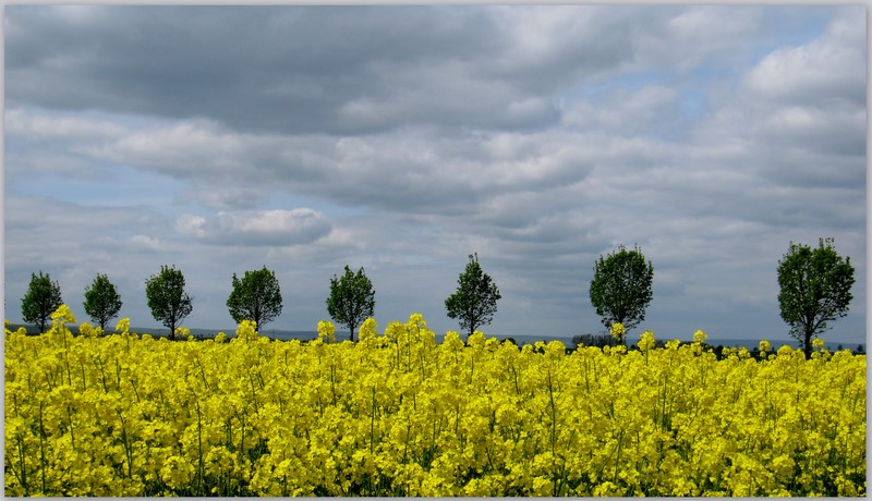 Hab`s doch noch geschafft, ...