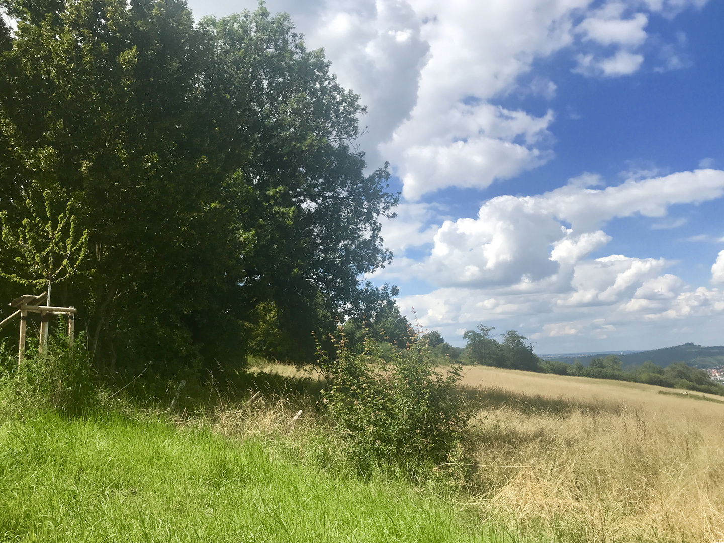 Habt ein beschauliches Sommerwochenende 