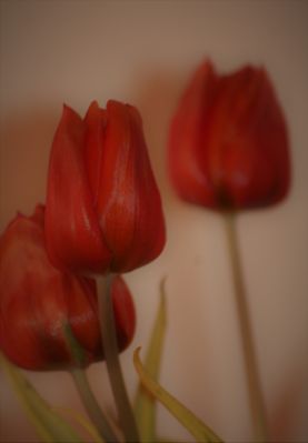 habt ein schönes Wochenende 