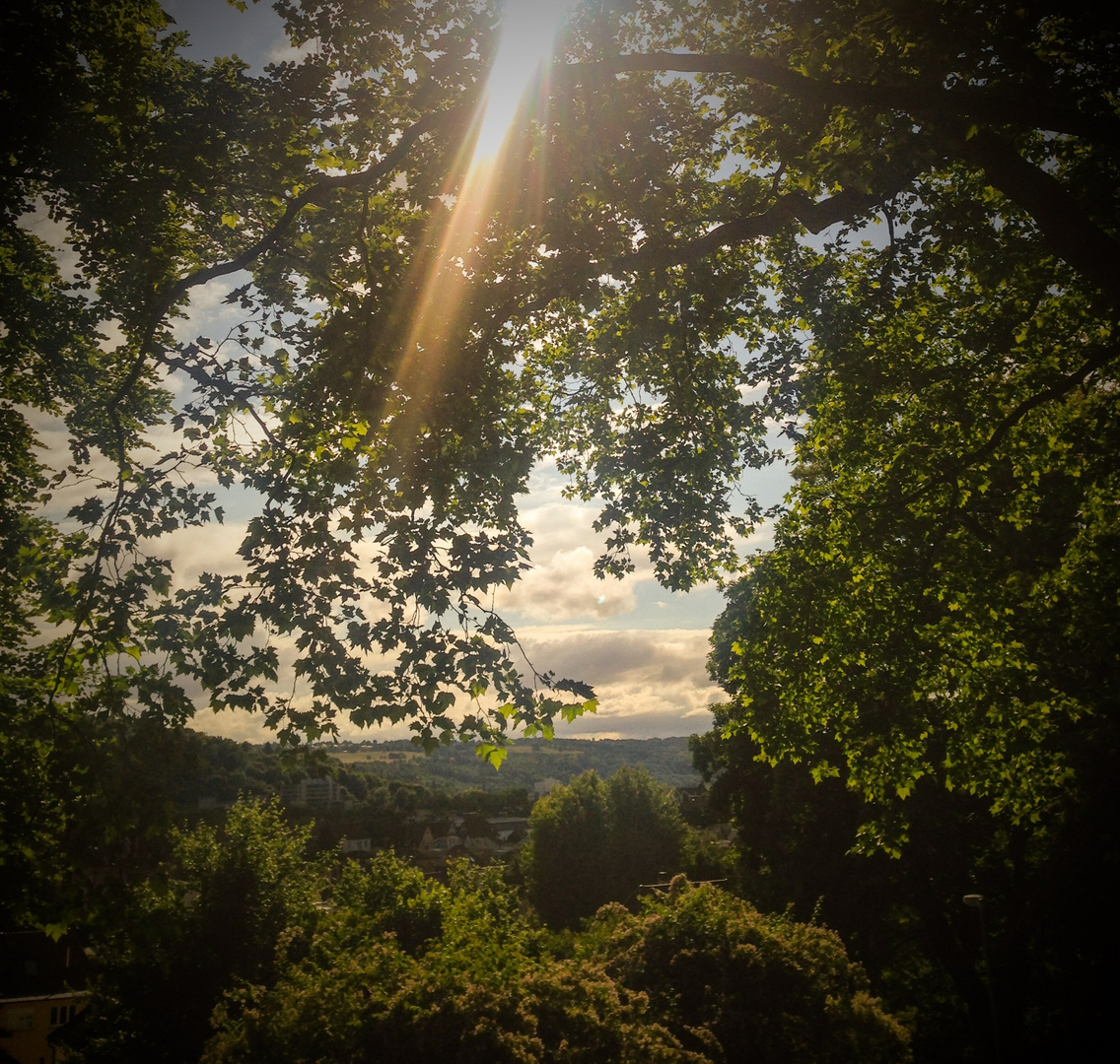 Habt einen schönen Sommerbeginn