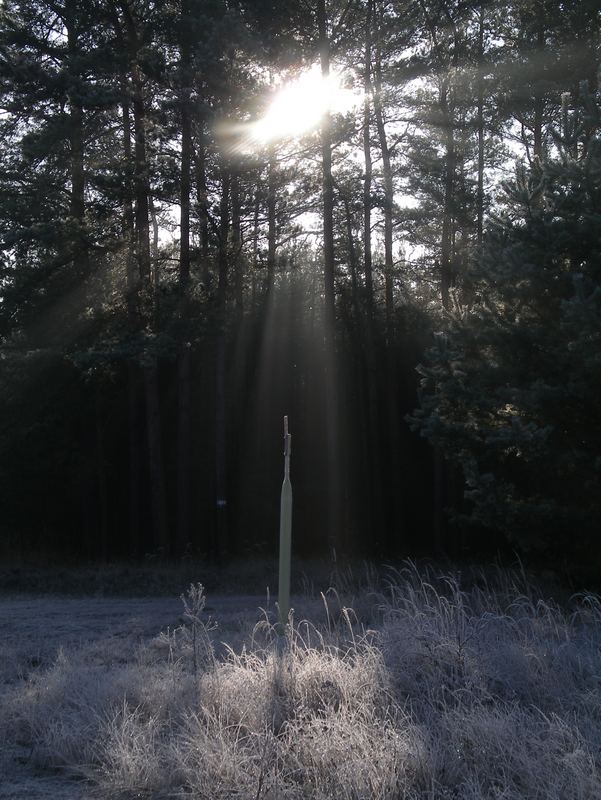 Hace sol-hay deshielo