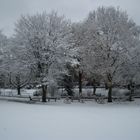 Hach, auch einmal wieder Schnee im guten alten Münster!