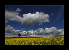 hach ... endlich wieder Farbe in der Landschaft