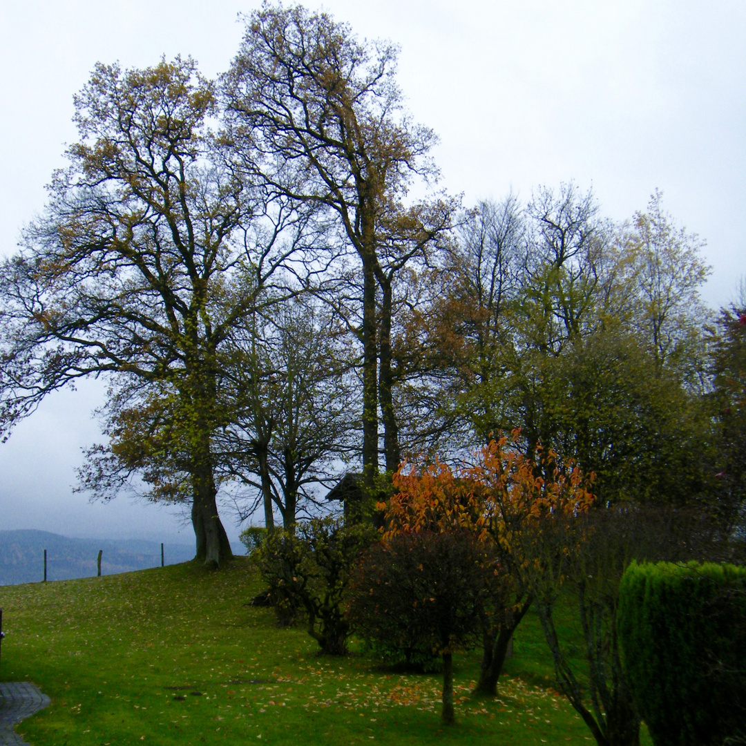 Hach, war der November doch schön !!