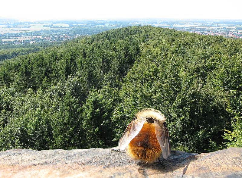 Hach, was für eine schöne Aussicht...