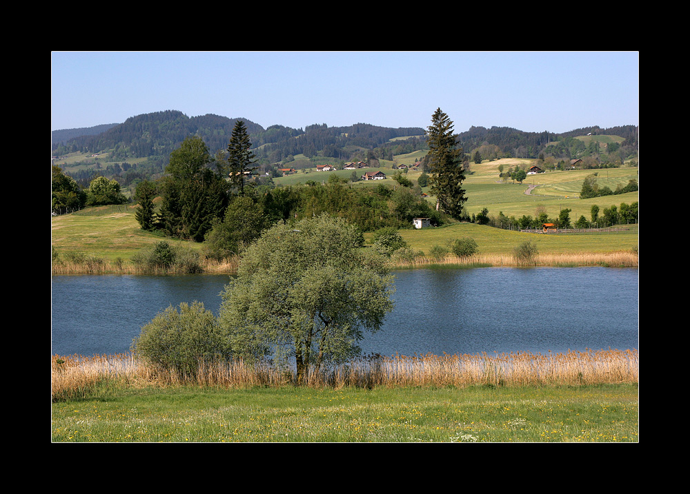 hachiges aus dem Allgäu