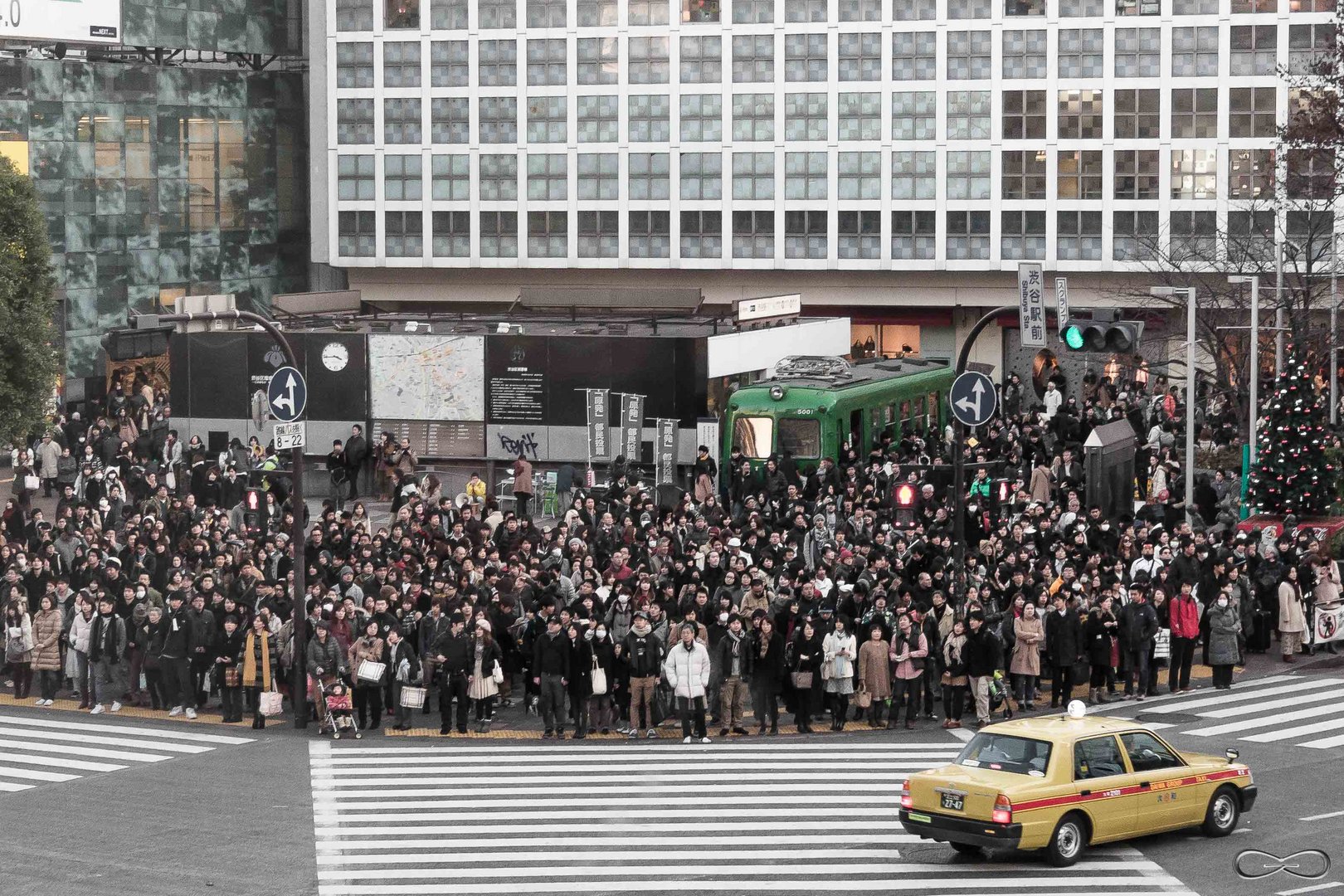 Hachiko