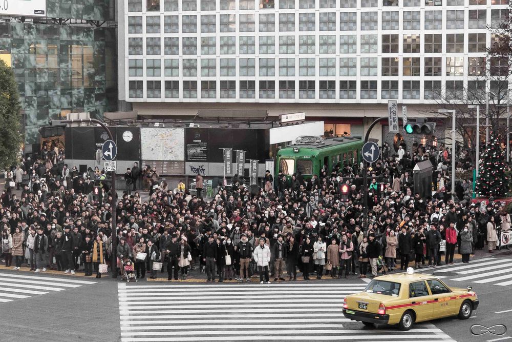 Hachiko