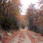 Hacia el Cerro El Roble