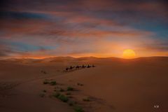 Hacia el sol del desierto