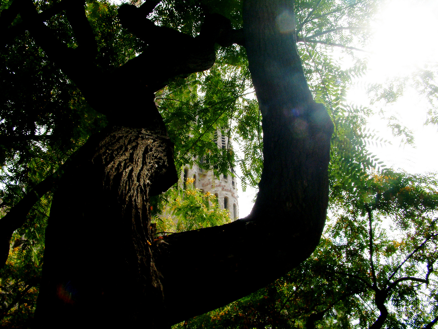 Hacia la Sagrada Familia