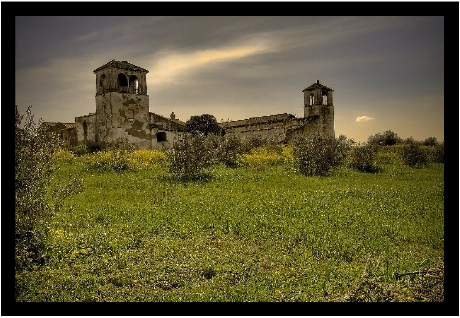 Hacienda de olivar la Peregrina