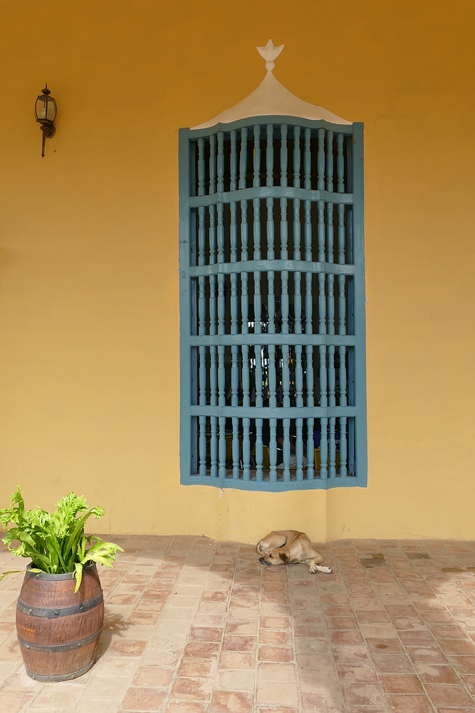 ...Hacienda Manaca Iznaga Stilleben...