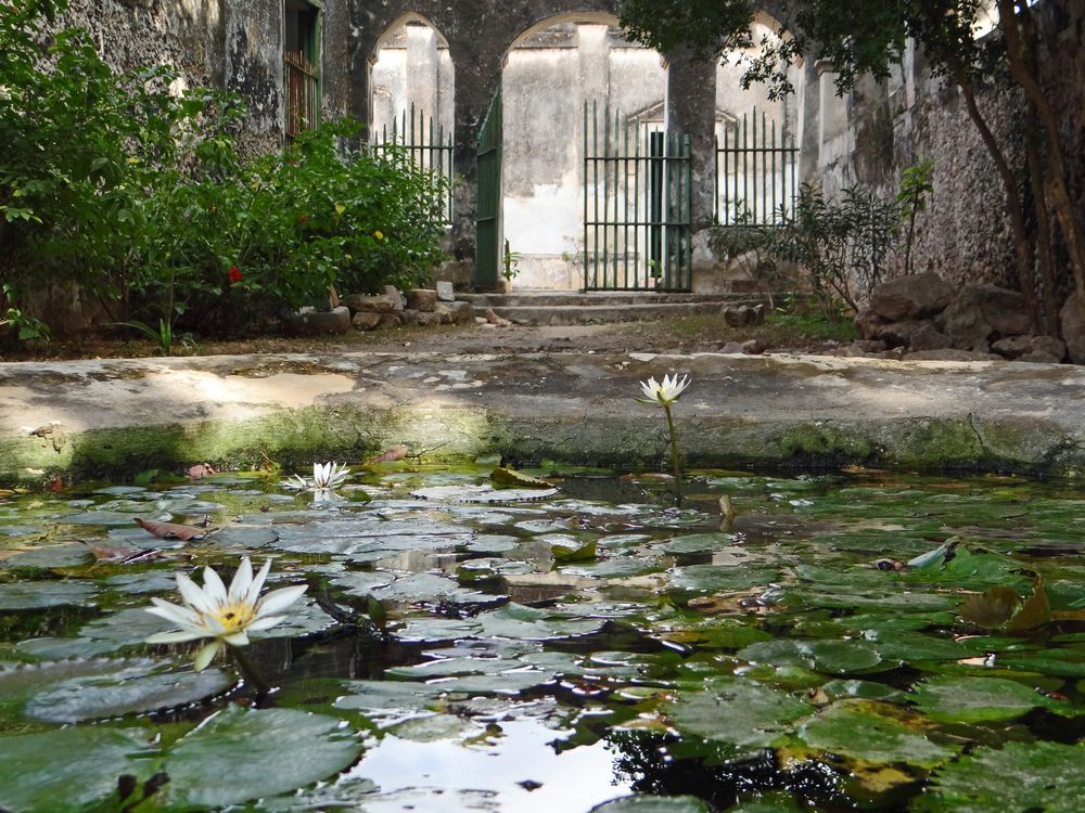 Hacienda Yaxcopoil Patio