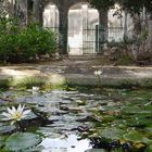 Hacienda Yaxcopoil Patio