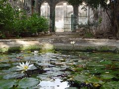 Hacienda Yaxcopoil Patio