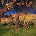 Haciendas de Jalisco Mexico