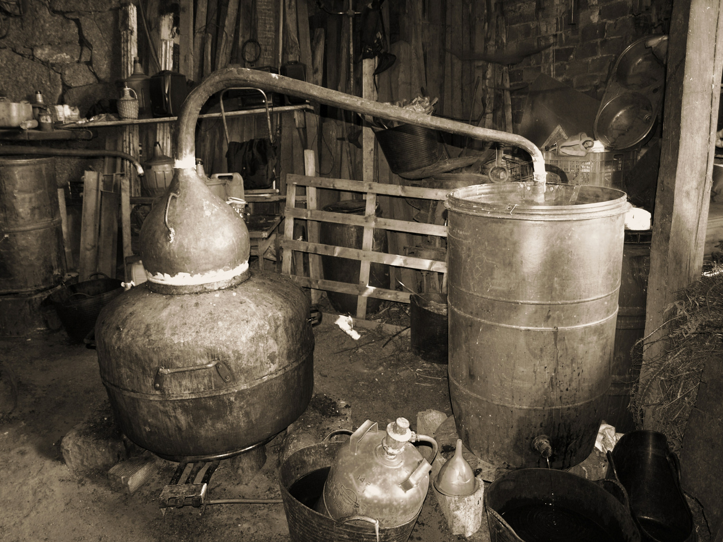 HACIENDO CAÑA "AGUARDIENTE"