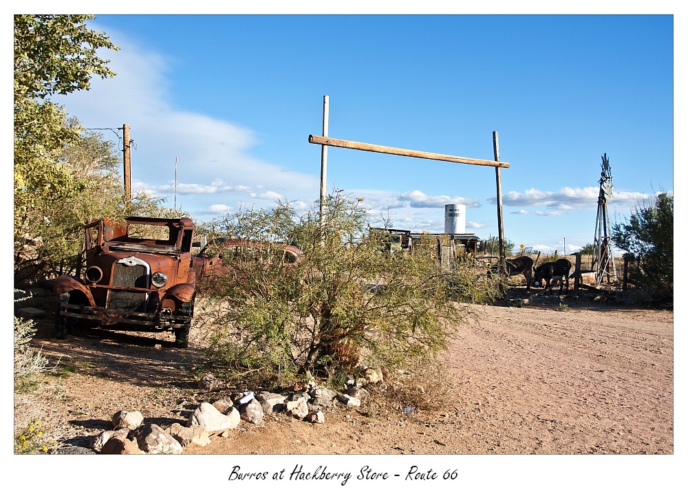 Hackberry Burros, Route 66