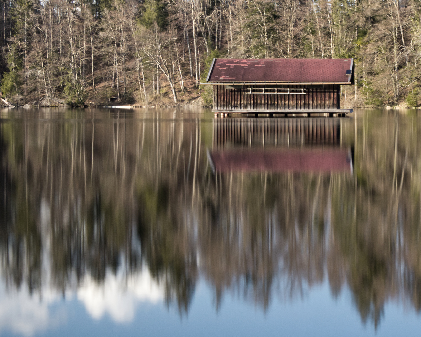 Hackensee