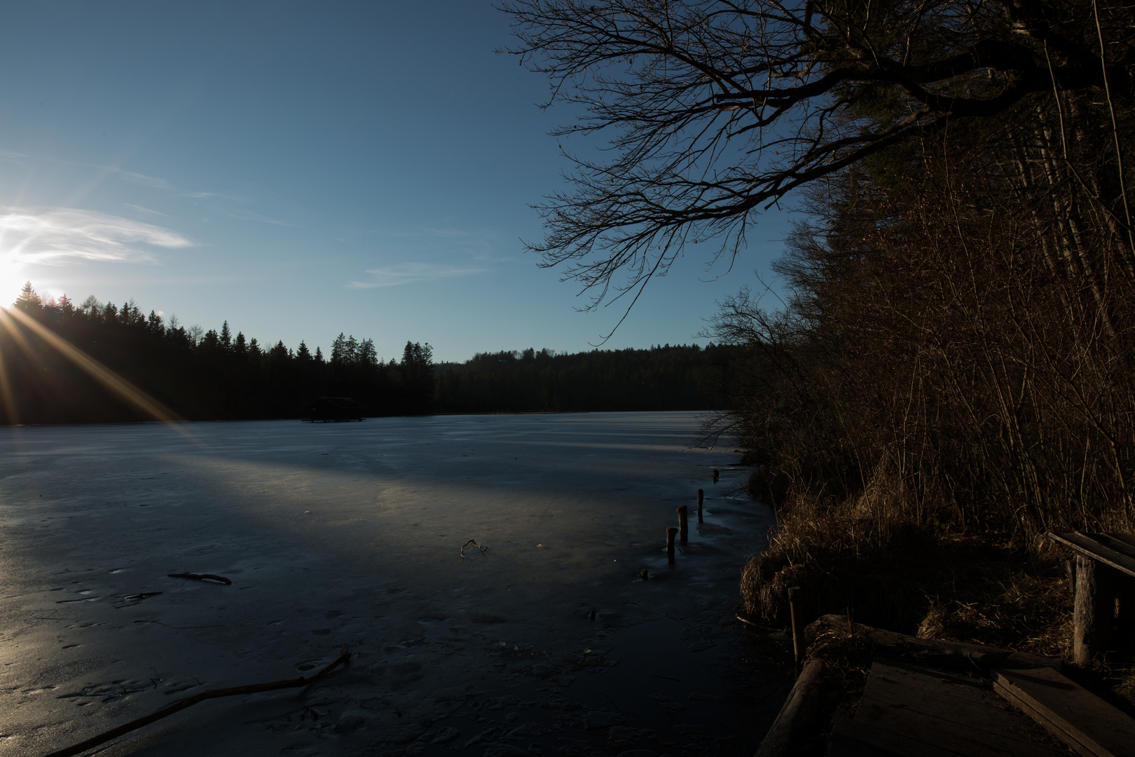 Hackensee Frühling1