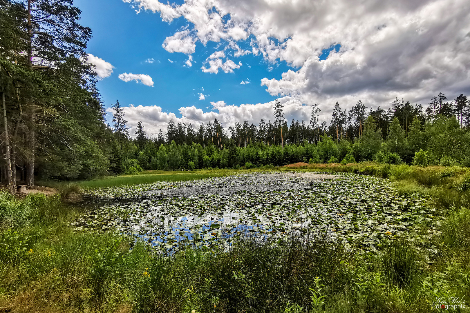 Hacklochsteich