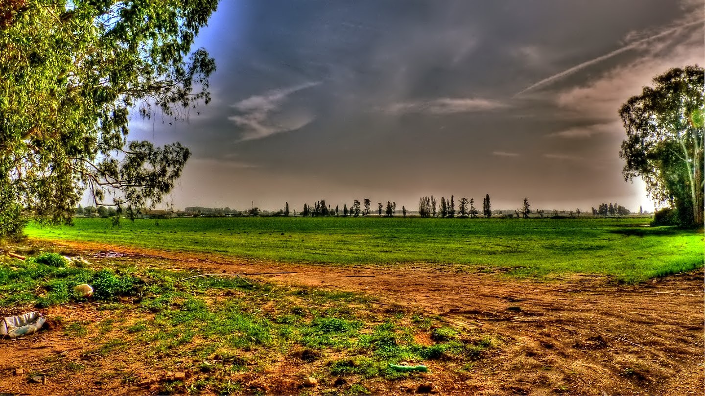 HADERA FIELDS