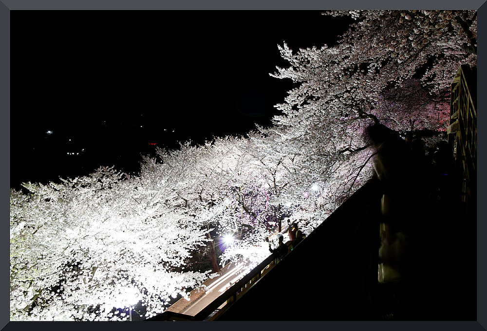 HADONG/Korea - Cherry Blossom VIII