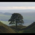 Hadrian´s Wall