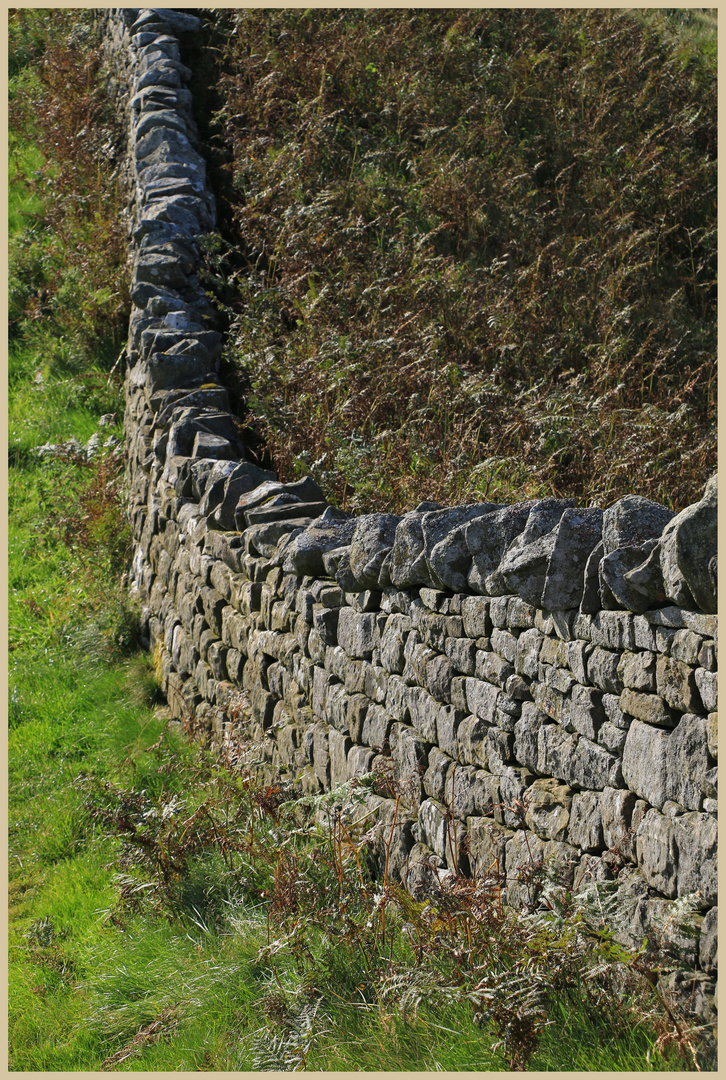 hadrians wall near cawfield