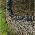 hadrians wall near cawfield