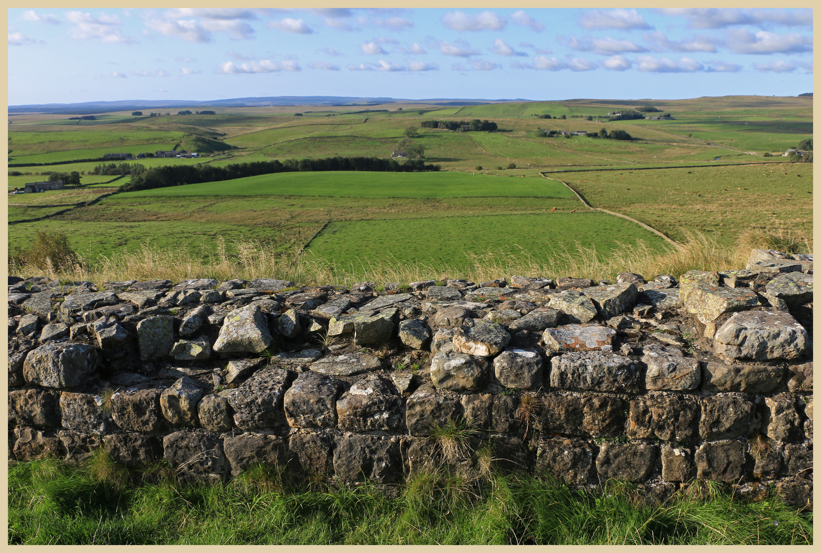 hadrians wall near cawfield 30