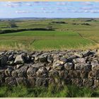 hadrians wall near cawfield 30