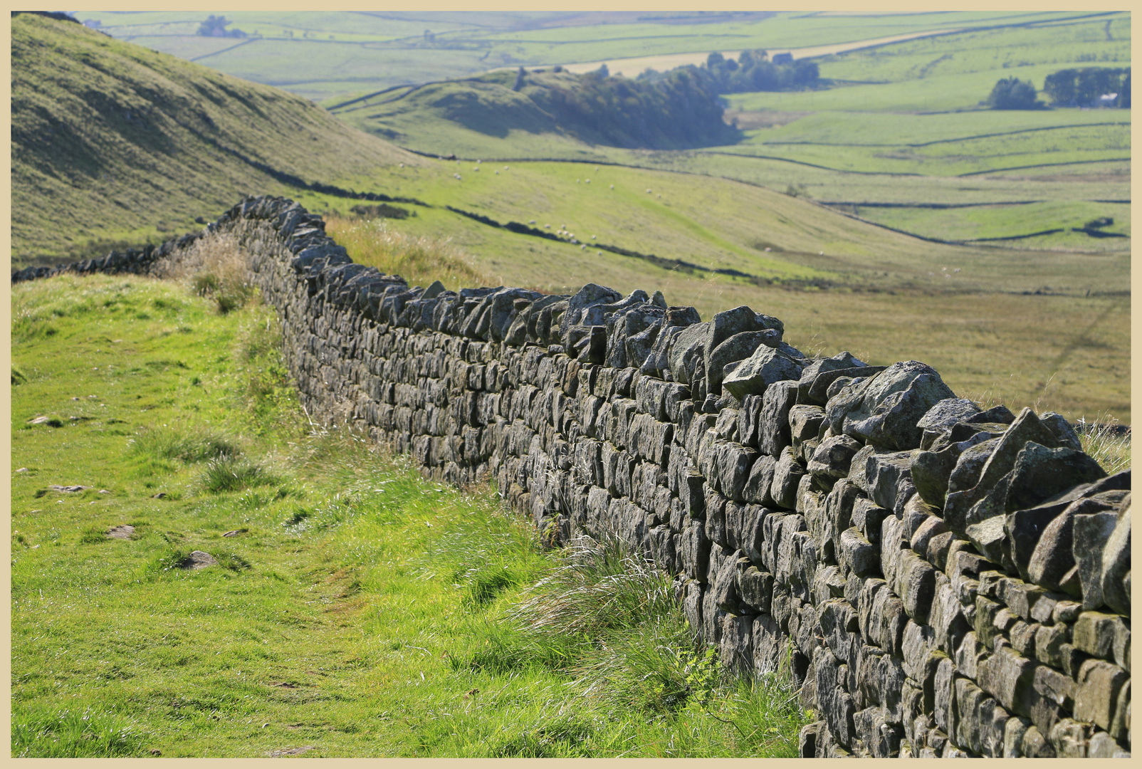 hadrians wall near cawfield 31