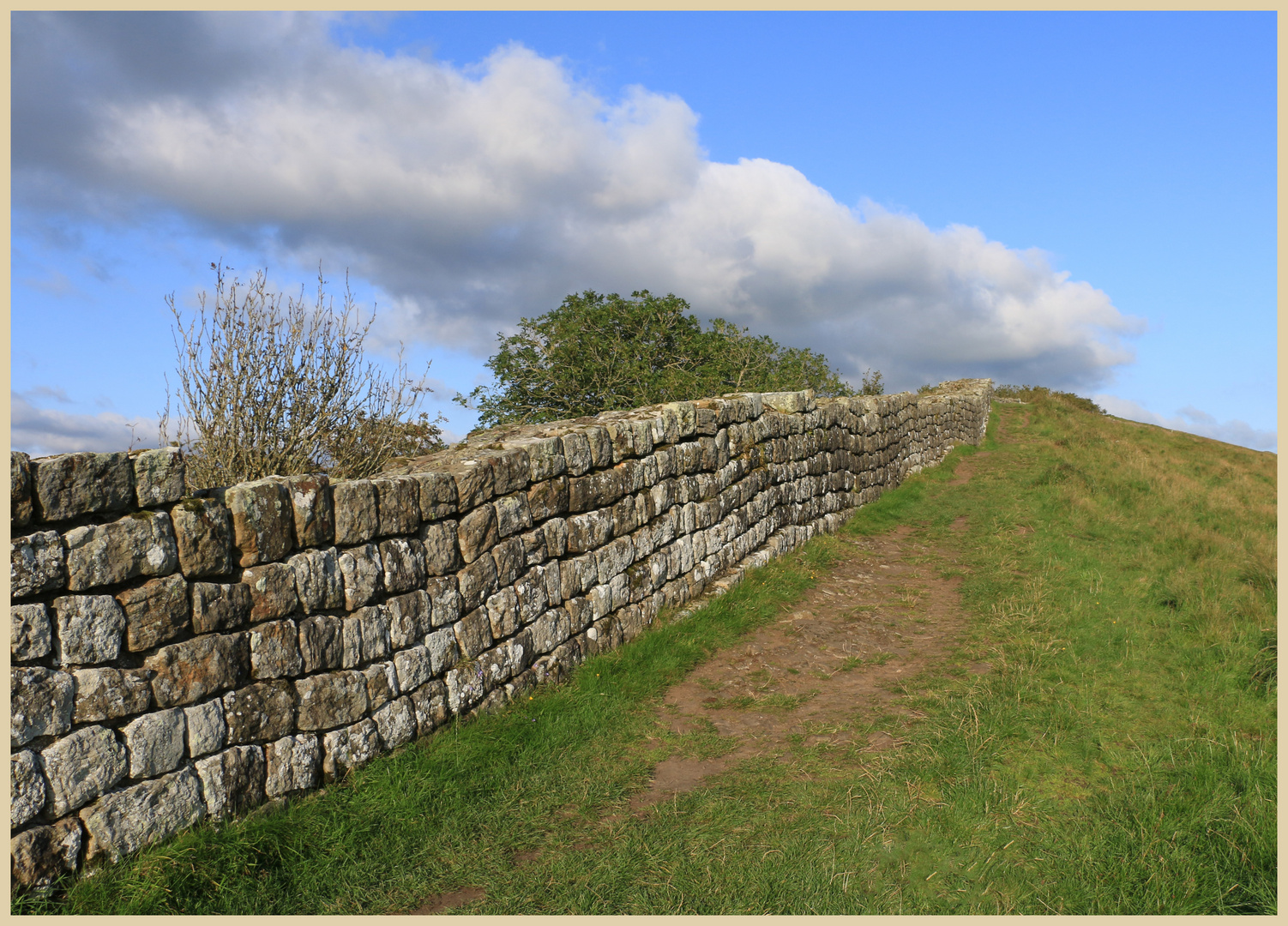 hadrians wall near cawfield 35