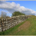 hadrians wall near cawfield 35