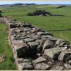 hadrians wall near cawfield 38