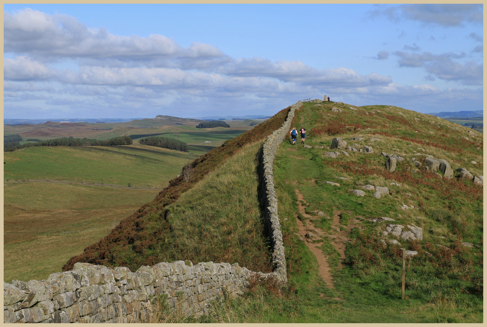 hadrians wall near cawfield gap 4