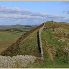 hadrians wall near cawfield gap 4