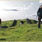 Hadrians Wall near Steel Rigg 5