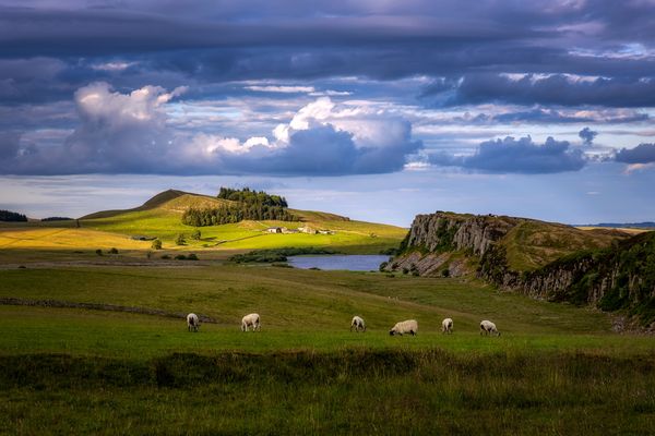 Hadrians Wall, Steel Rigg