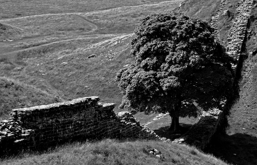 Hadrianswall B/W