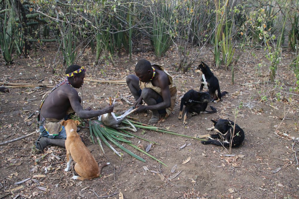 Hadza Buschmänner Tansania 