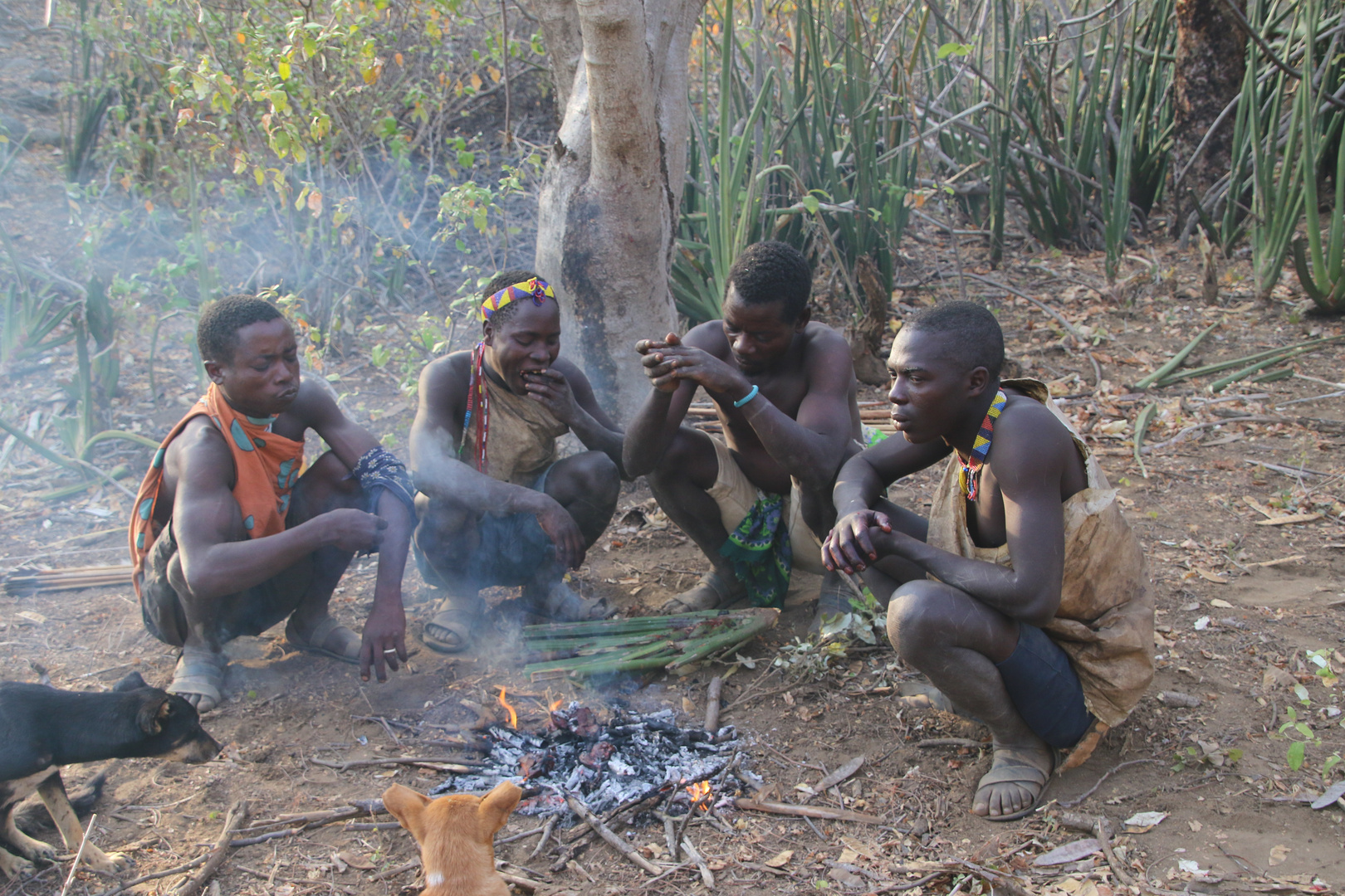 Hadza Buschmänner Tansania 