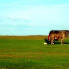 Häh? Ich glaub du verwechselst mich da!!