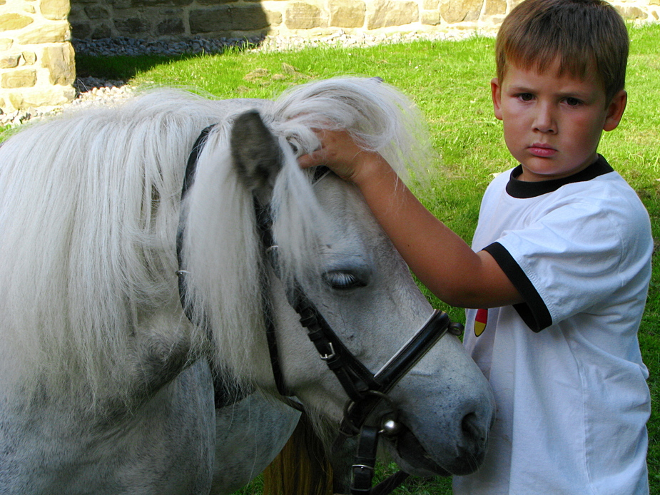 "Hände weg von meinem Pony", sagt das Pony