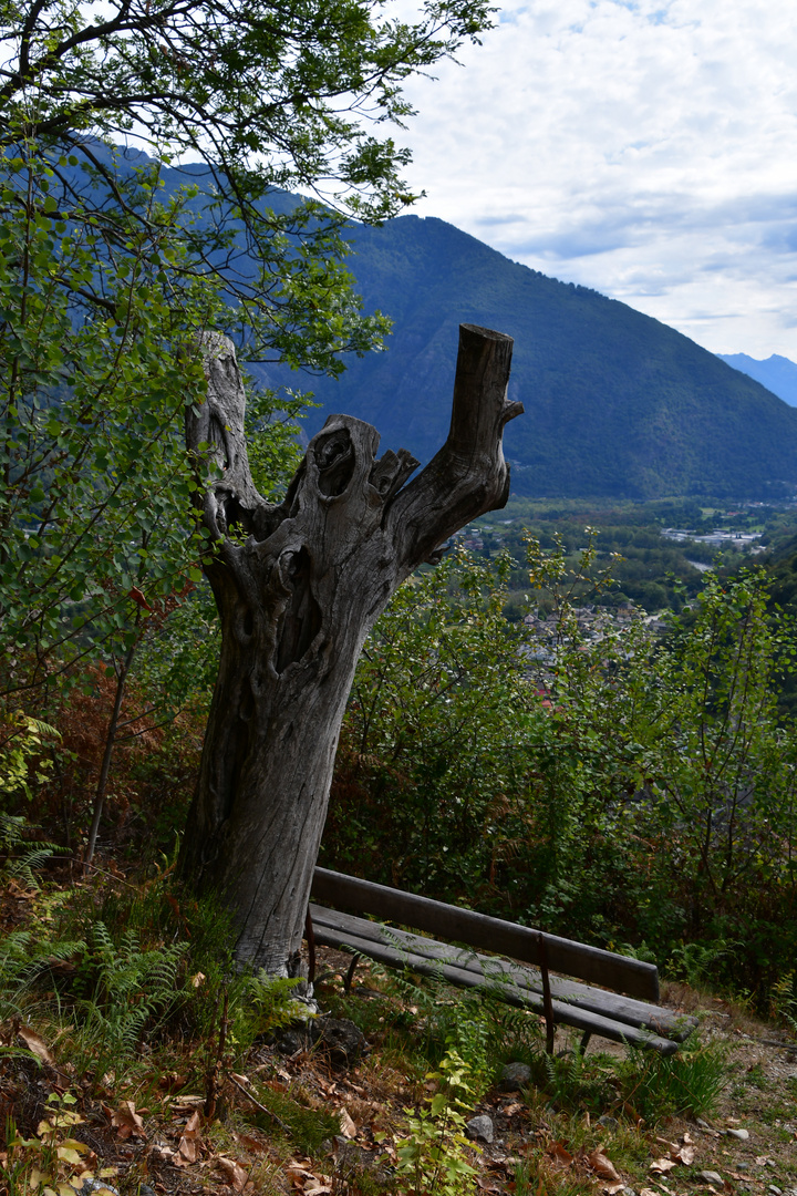 Händehochbaum