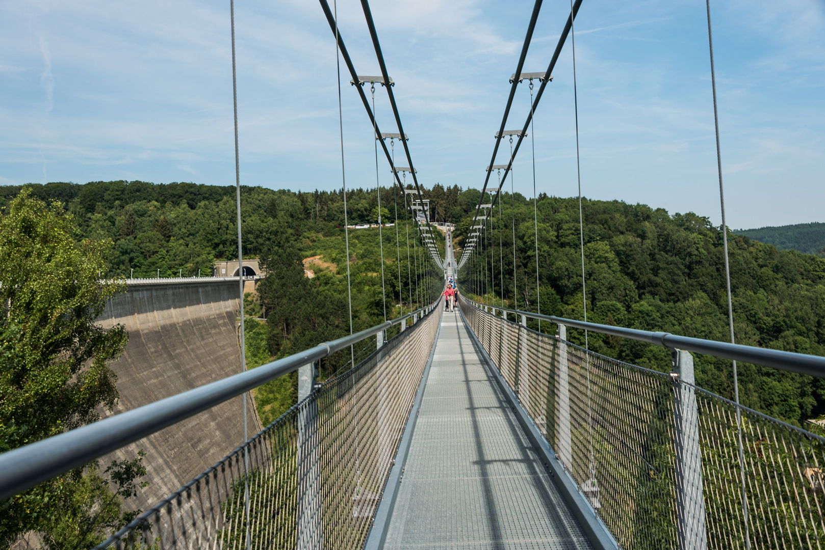 Hängebrücke 01